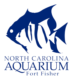 North Carolina Aquarium at Fort Fisher