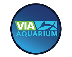 VIA Aquarium