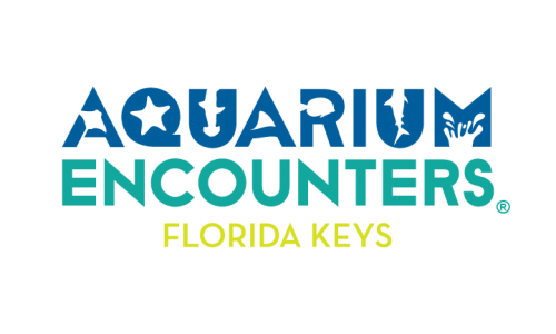 Aquarium Encounters Florida Keys